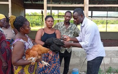 Training on livestock farming practices with beneficiary cooperatives within the framework of the ANESVAD project